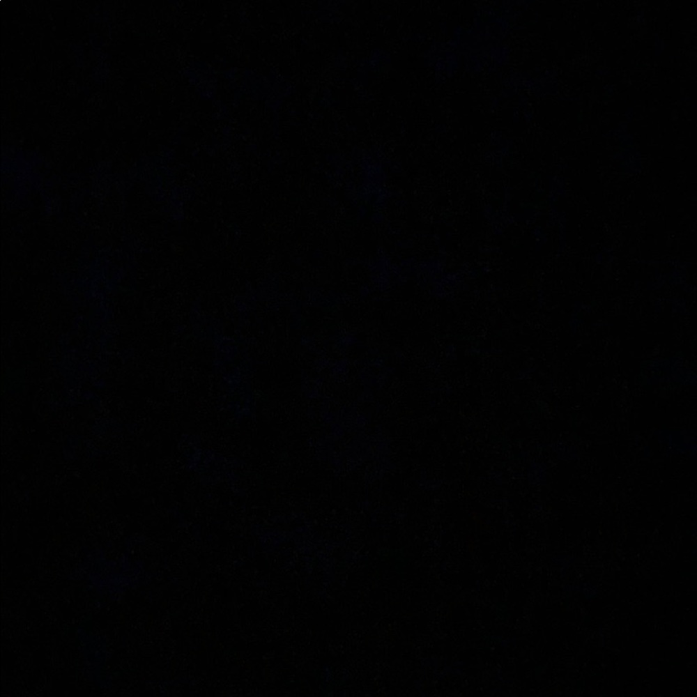 Meet your Posher, Daisy